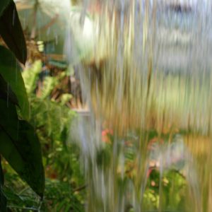 Watering & Moisture Control Blueprint